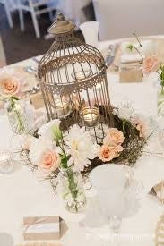 Bird cage - Dilwana online shopping store