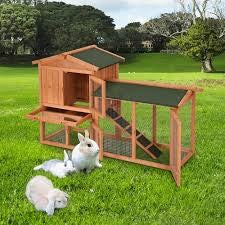Rabbit hatches - Dilwana online shopping store