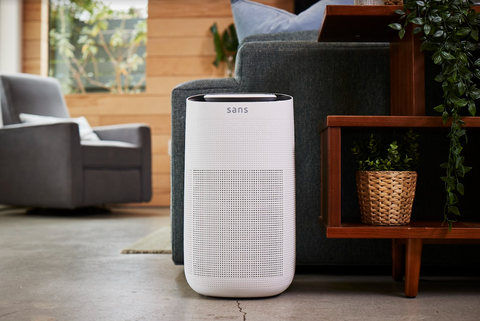 Sans Air Purifier for Mold