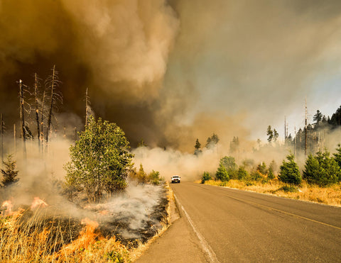 car driving through wildfire smoke outside