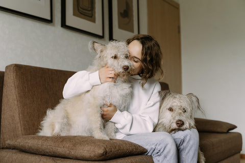 Woman with two dogs sitting in a chair