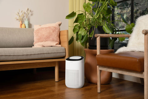 sans air purifier mini