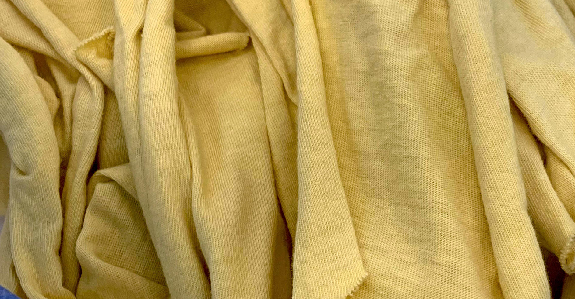A closeup of cotton fabric dyed yellow with osage orange