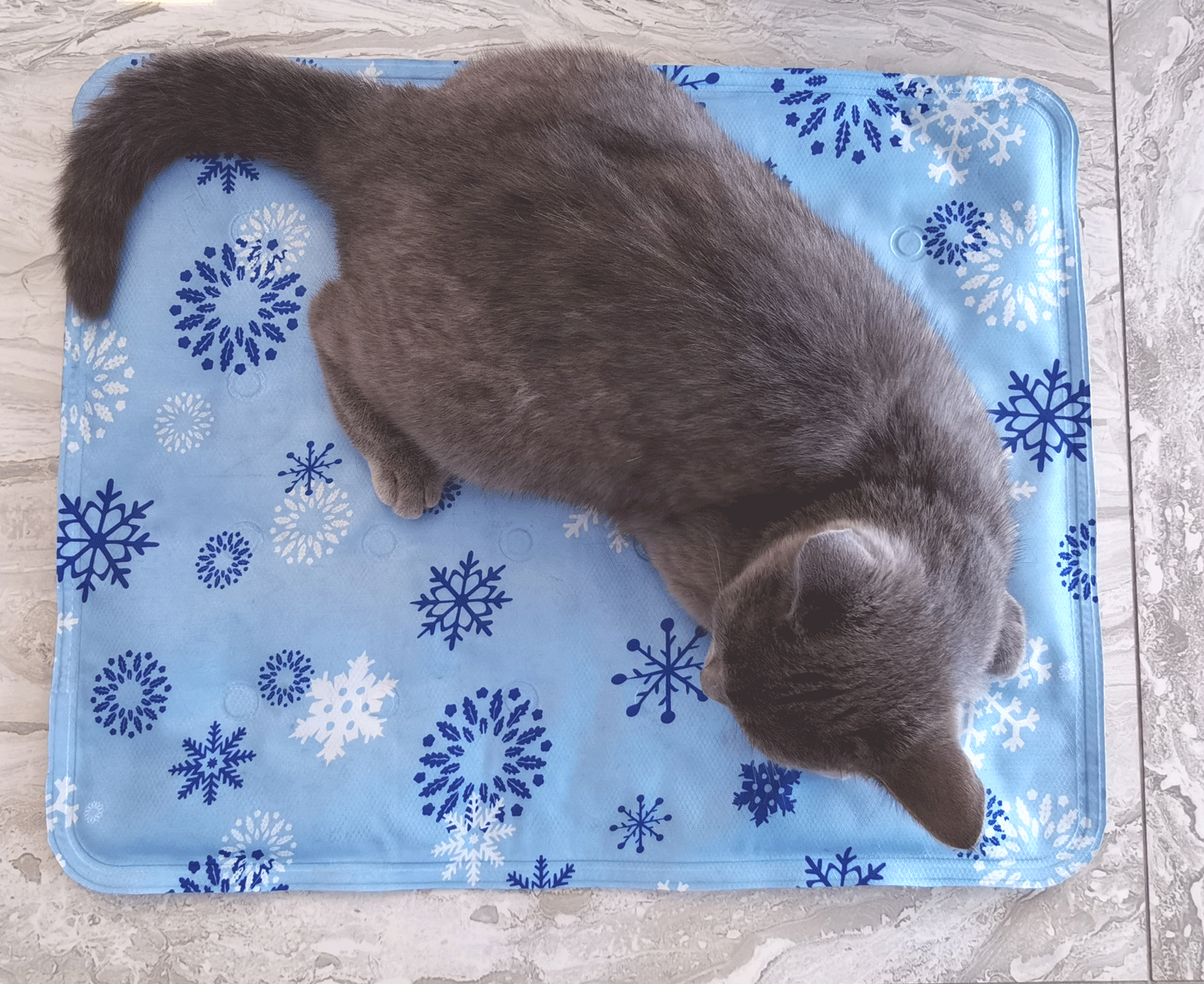 Portable Washable Non Toxic Pet Cooling Gel Mat Pad