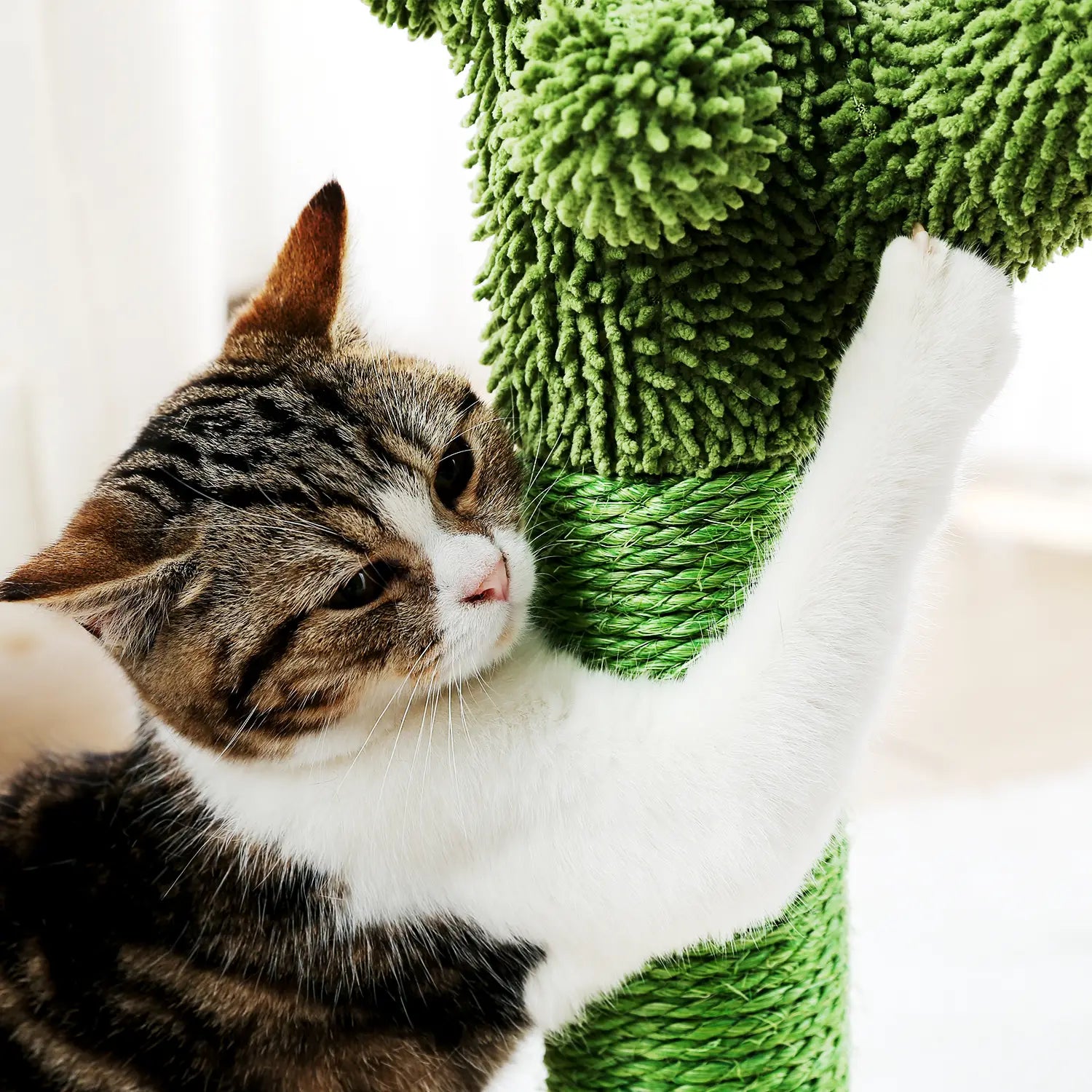 Jouet Arbre à chat en forme de Cactus