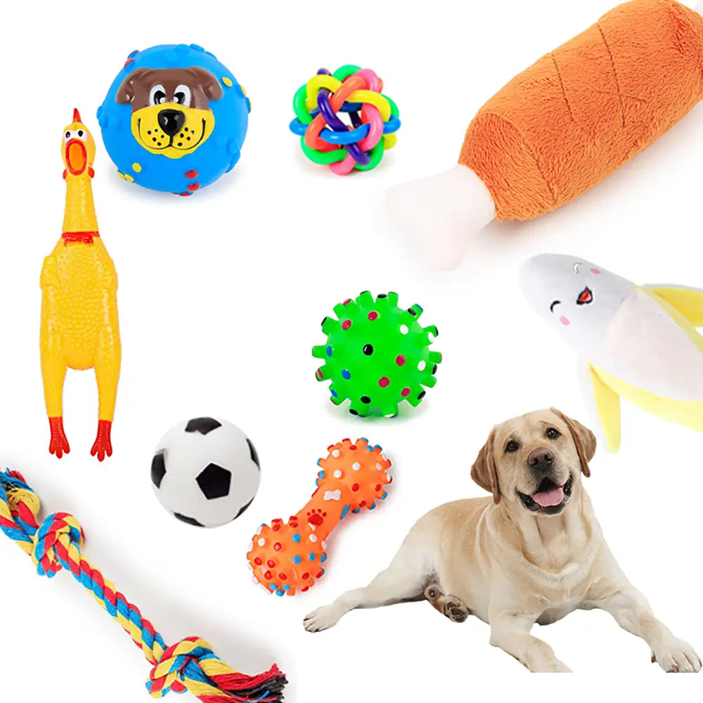 Lot 4 Jouets couinants pour Chiens