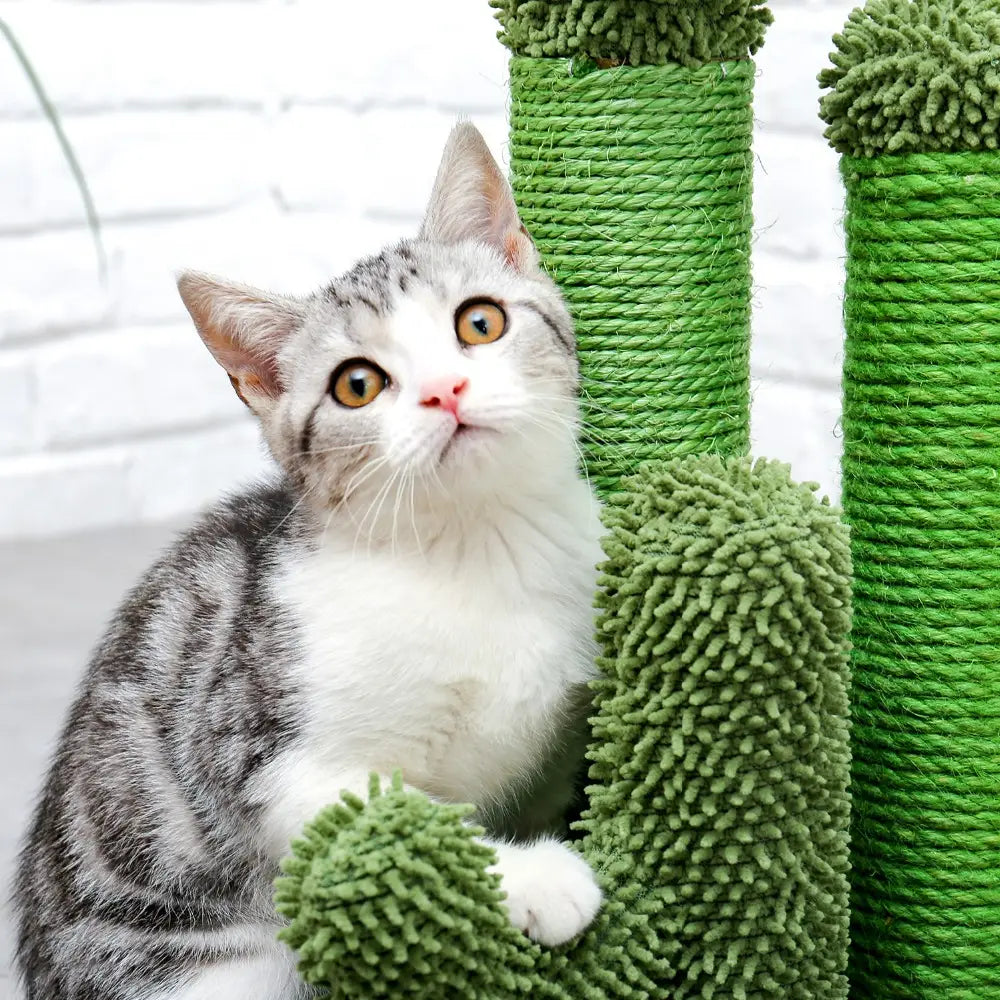 Jouet Arbre à chat en forme de Cactus