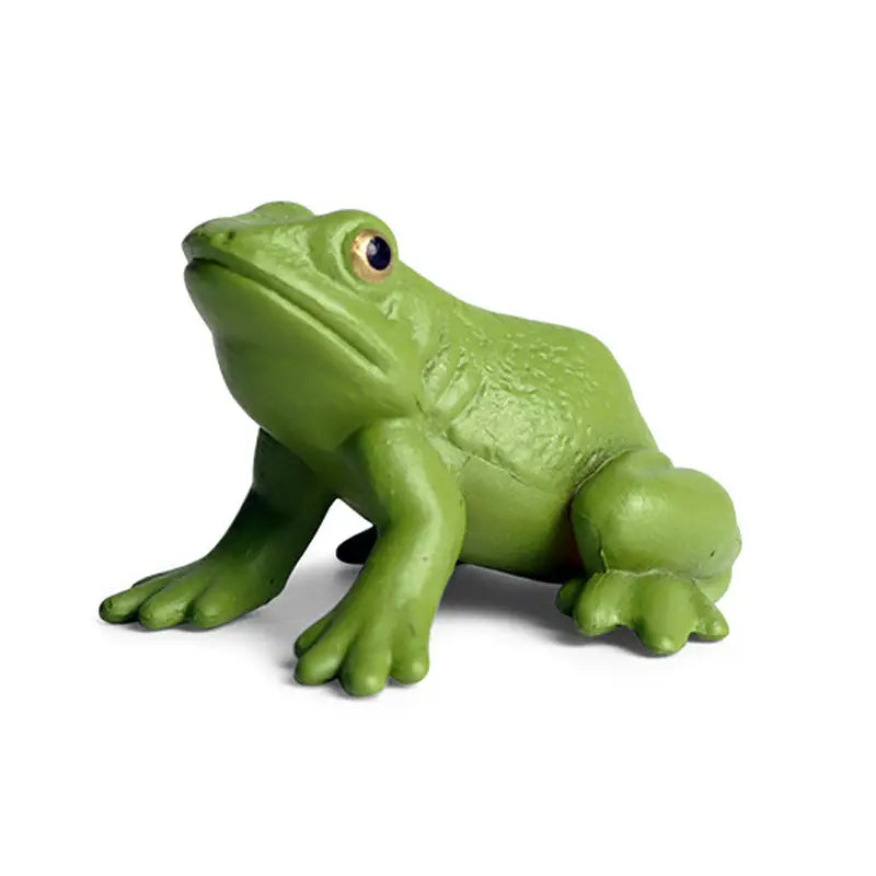 Figurines Pédagogiques Têtard Grenouille