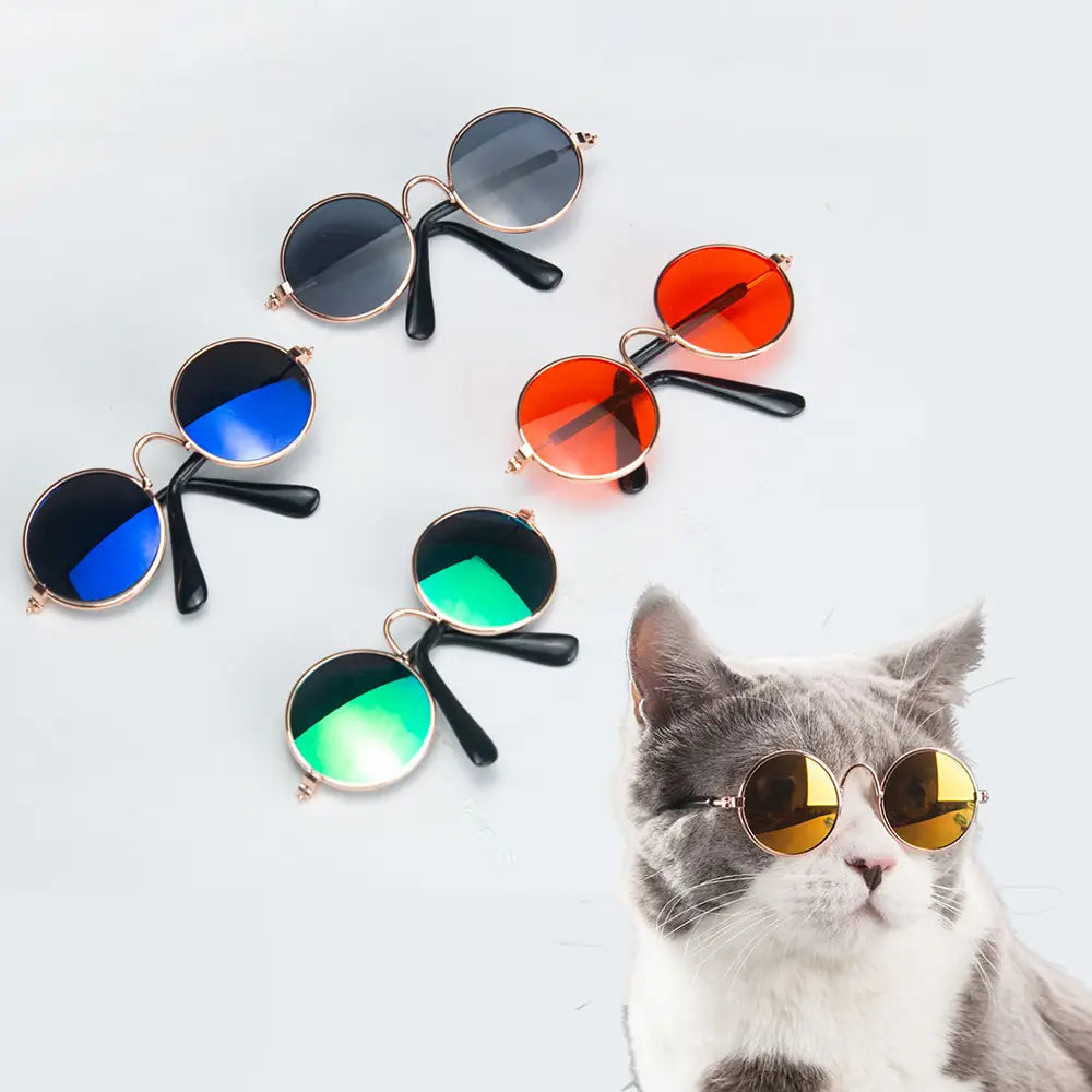 Lunettes pour Chat et Chien