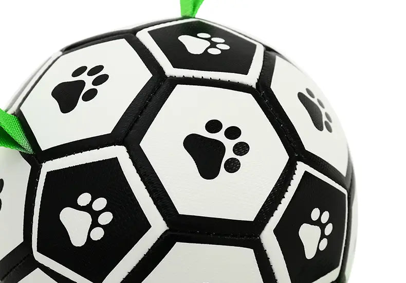 Jouets interactifs Ballon Football pour animaux