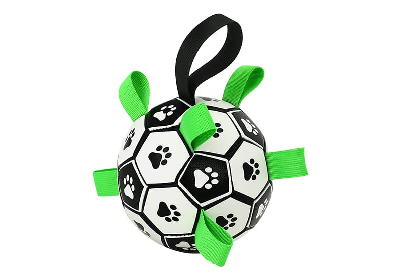 Jouets interactifs Ballon Football pour animaux