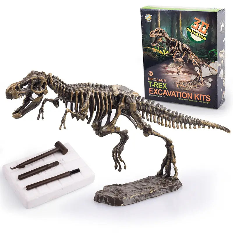 Kit d’excavation Dinosaure Jurassique pour enfant