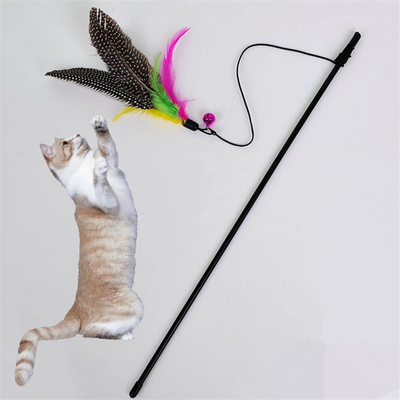 Jouets Canne fil pêche pour Chat