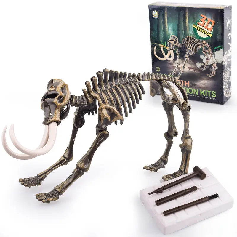 Kit d’excavation Dinosaure Jurassique pour enfant