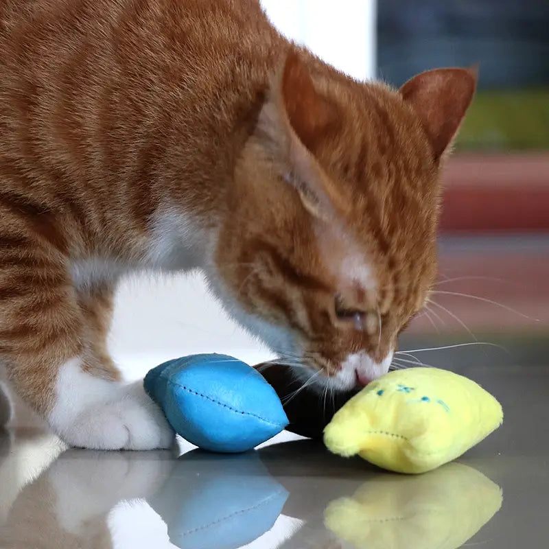 Jouet Peluche à mordre pour chat