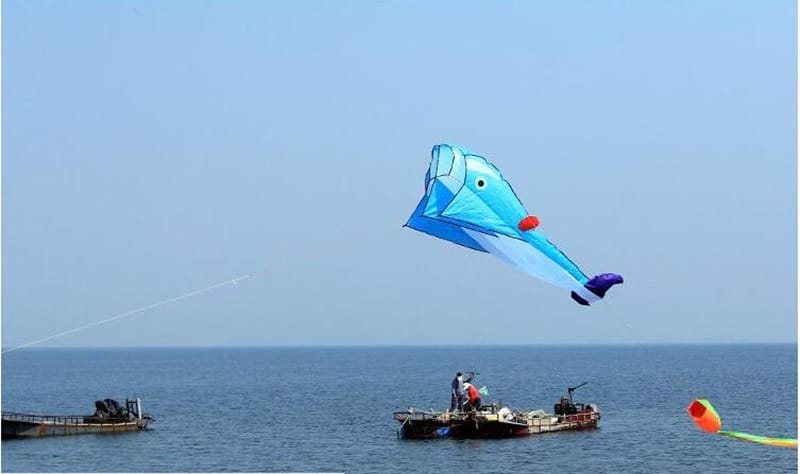 Grand cerf-volant Baleine Géante