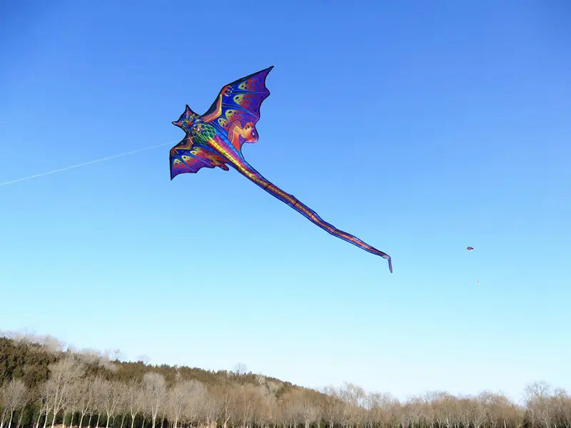 Cerf-volant dragon 3D pour enfants