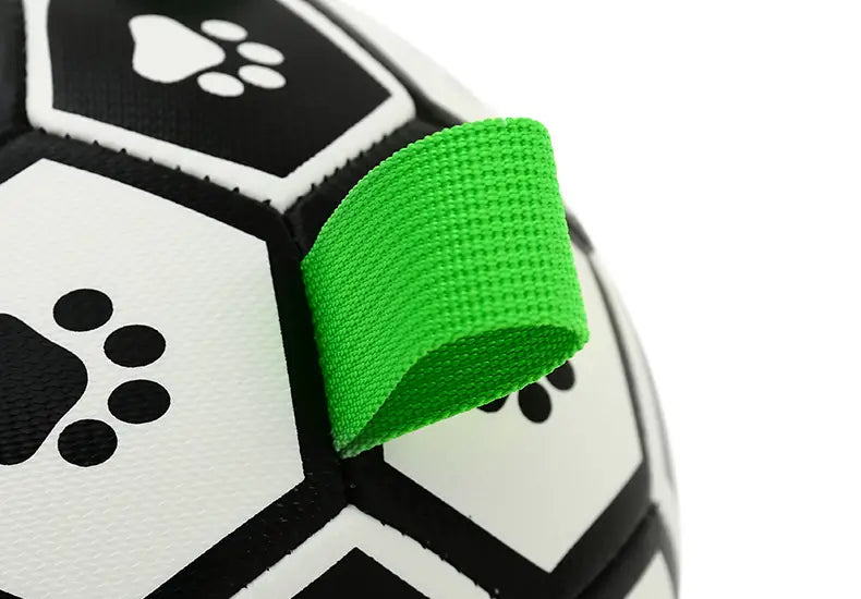 Jouets interactifs Ballon Football pour animaux