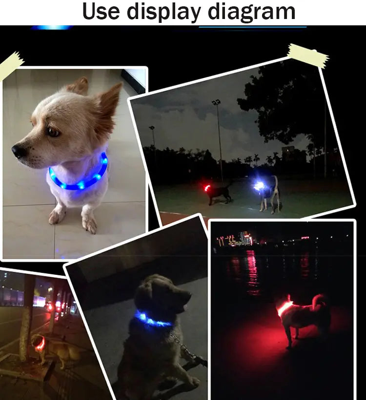 Collier Chien Led Silicone Rechargeable