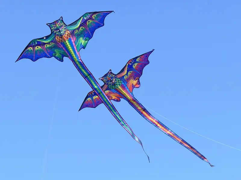 Cerf-volant dragon 3D pour enfants