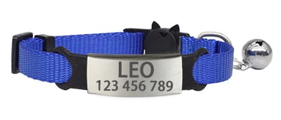 Collier à graver personnalisé pour chat