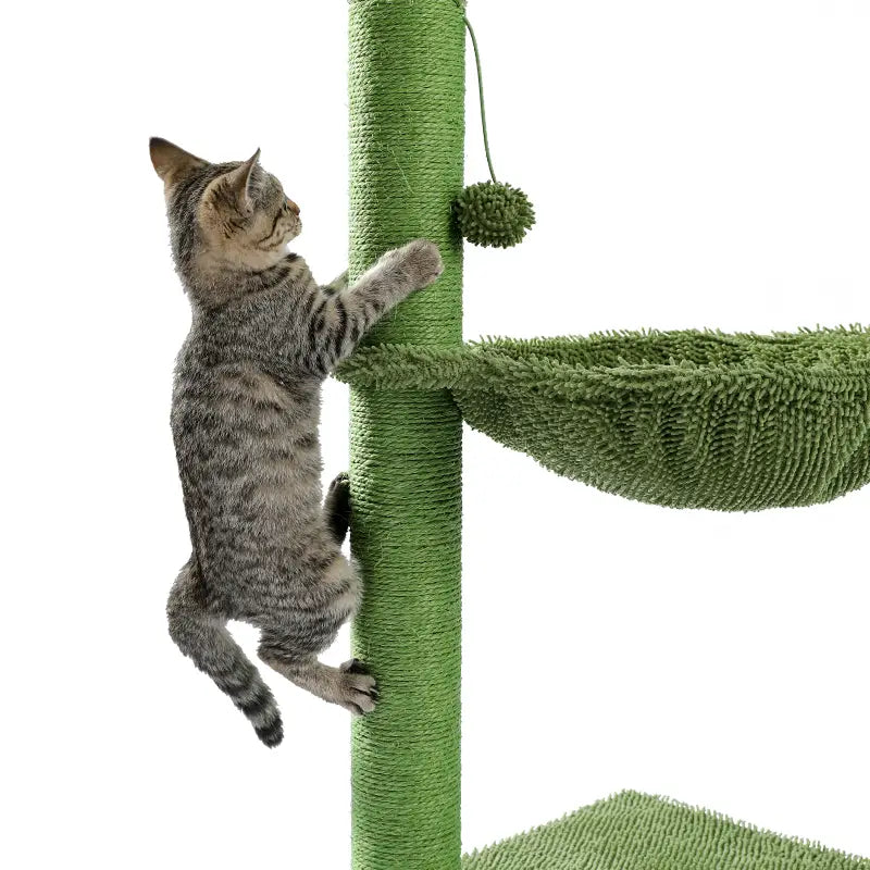 Jouet Arbre à chat en forme de Cactus