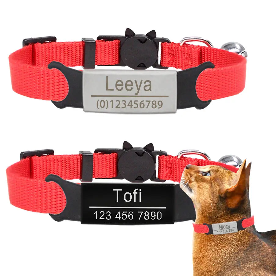 Collier à graver personnalisé pour chat