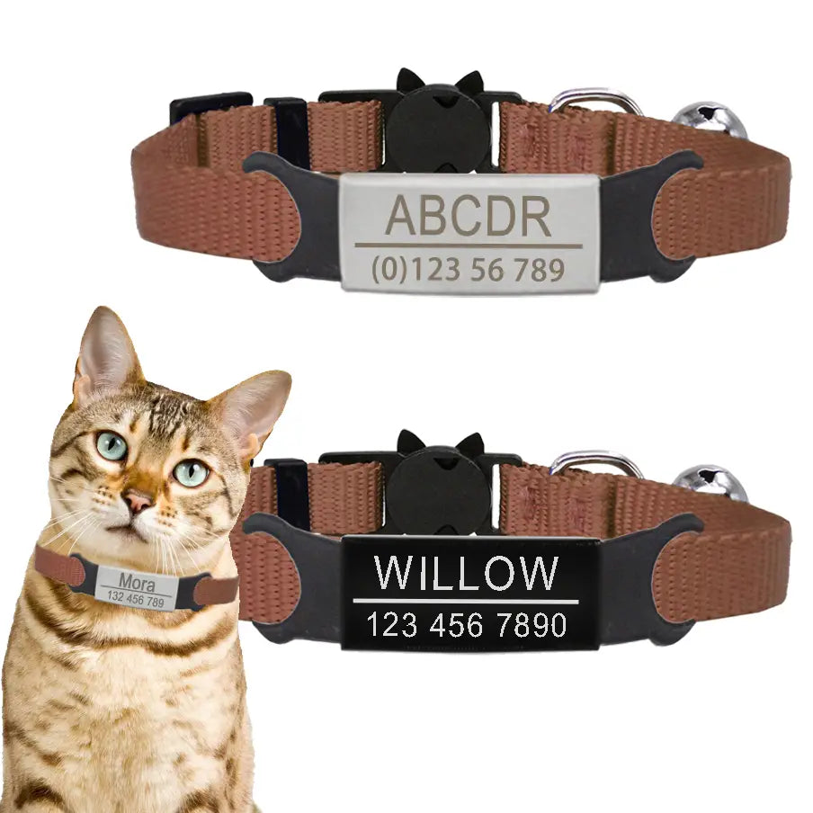 Collier à graver personnalisé pour chat