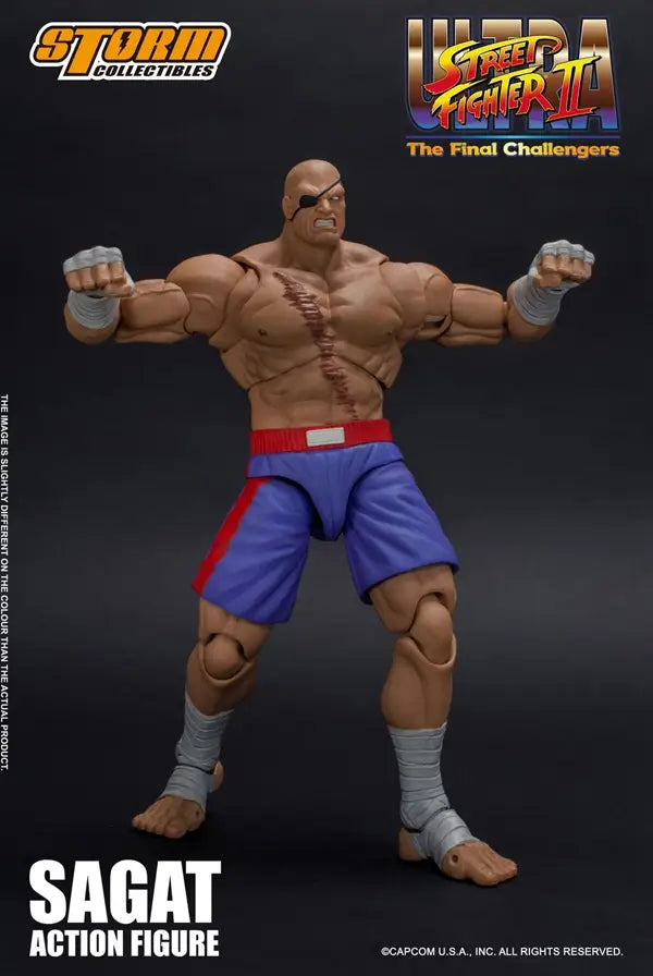 Figurine Street Fighter Ultra Sagat