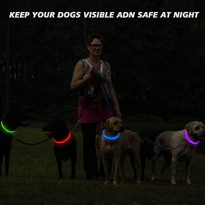 Collier Chien Led Silicone Rechargeable