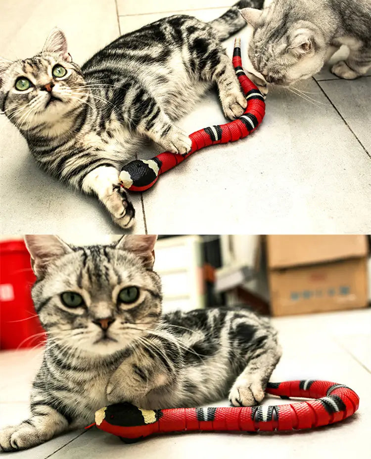 Jouets Serpent détection intelligente pour chats