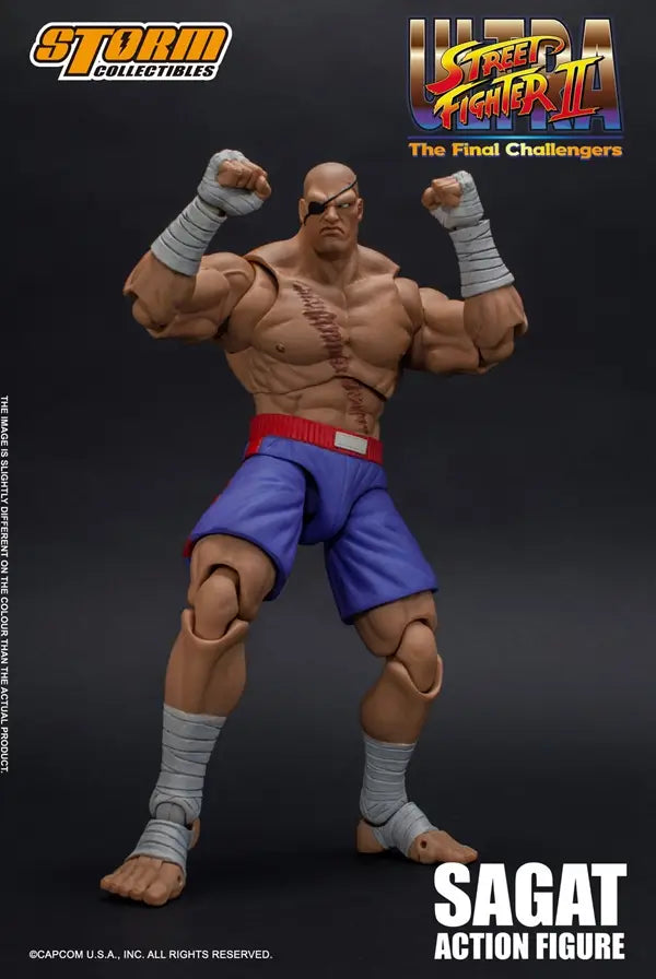 Figurine Street Fighter Ultra Sagat