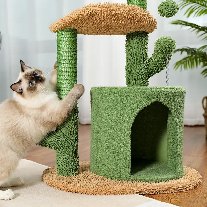 Arbre Maison de jeu pour chat