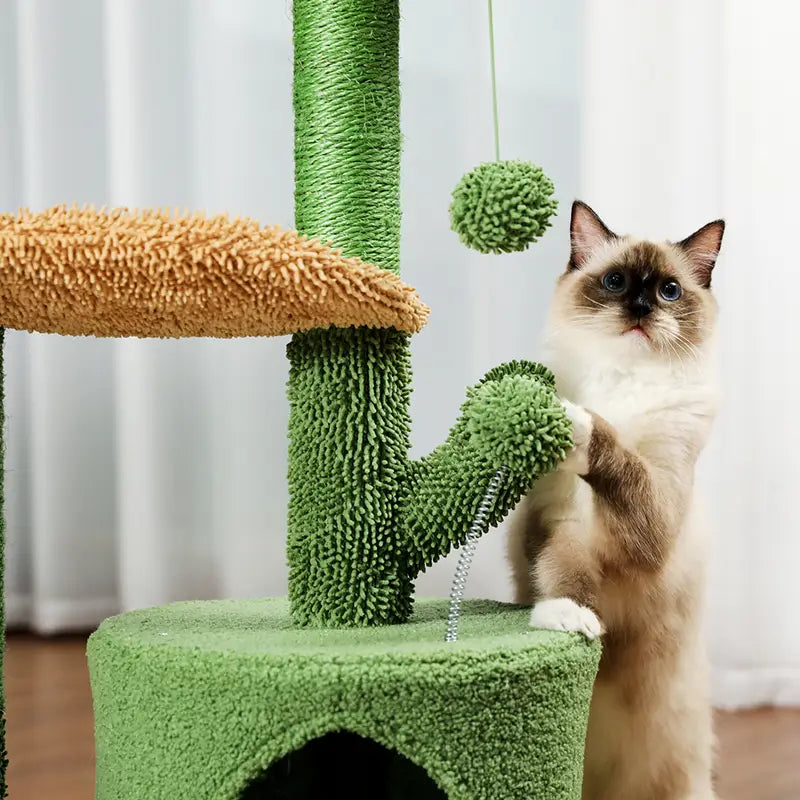 Arbre Maison de jeu pour chat