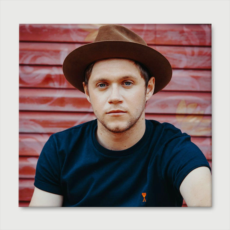 niall horan in a hat