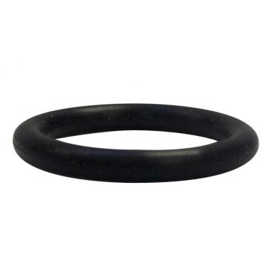 Pentek (151120) Replacement O-ring For Standard Housings With 3/4" Npt Connections