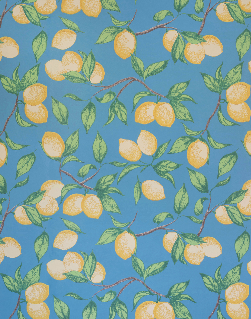Capri Lemons, Natural – The Pattern Collective
