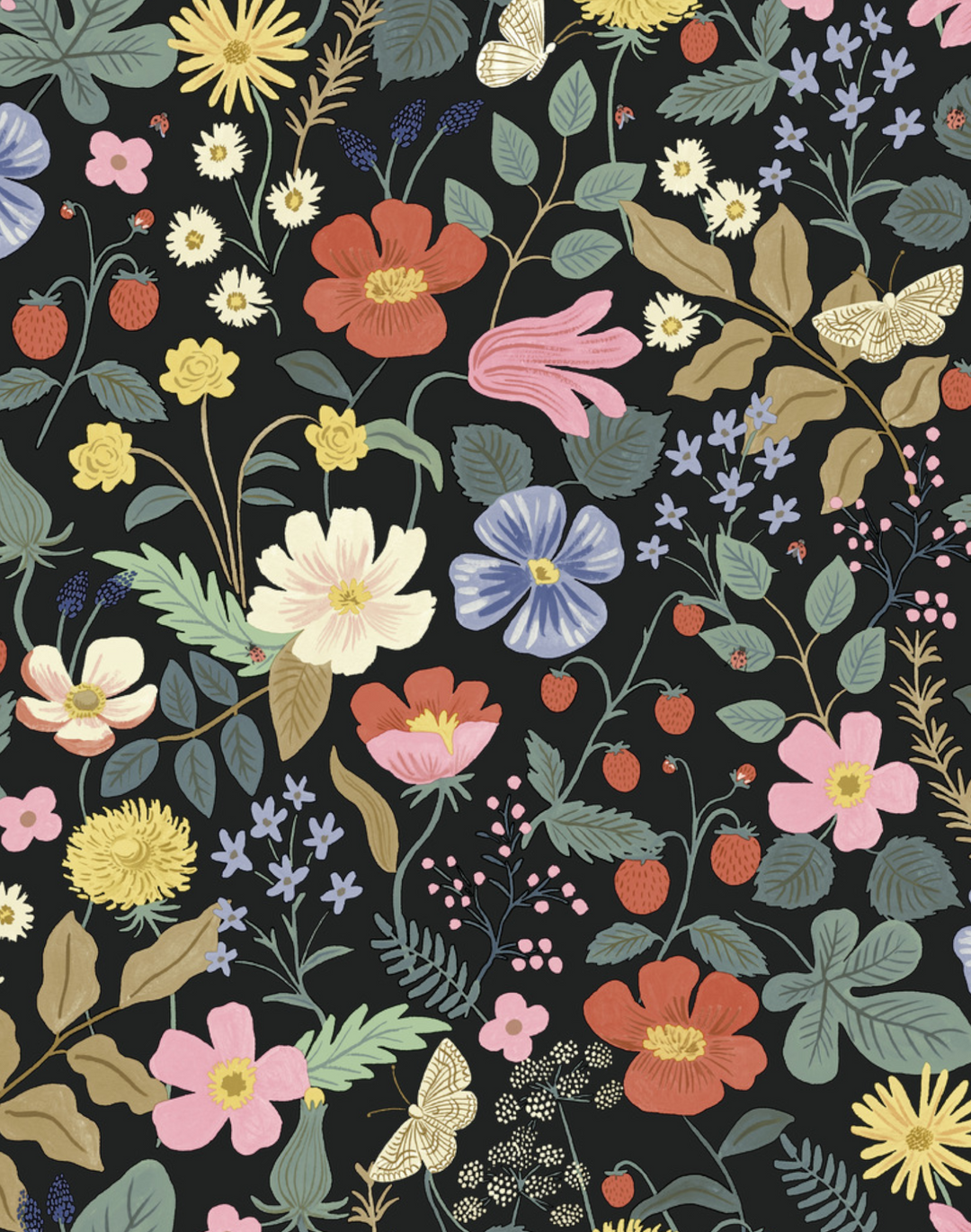 Strawberry Fields - Black Canvas Fabric – Royal Motif Fabrics