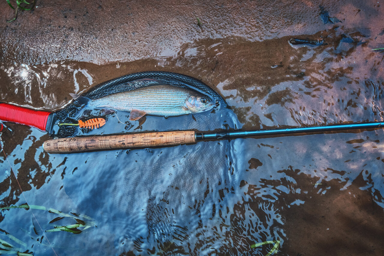 Daggerfish Hand Fishing Reel vs Tenkara Fly Fishing Rod