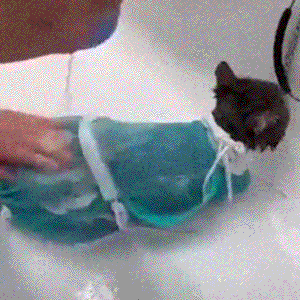 Adjustable Cat Bathing Bag - Prevent Scratching For Bathing - PetPinPin