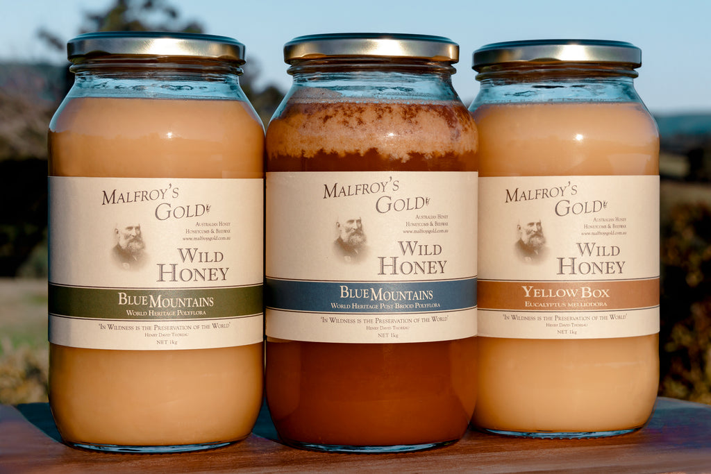 Malfroy's Gold Award Winning Wild Honey with High Medicinal Activity