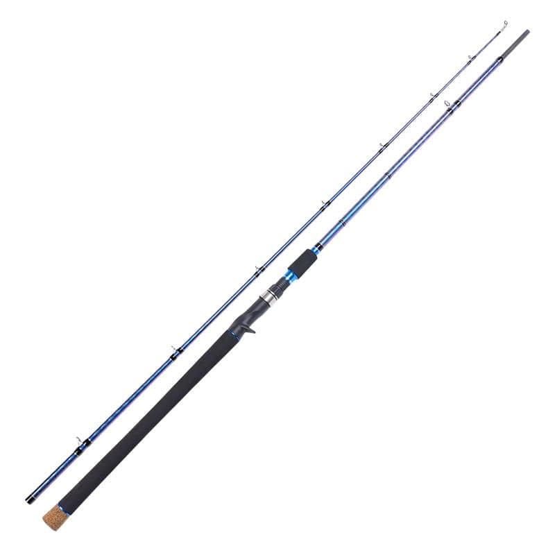 Two fishing rods, one 12ft proton carp fishing rod Sunridge and