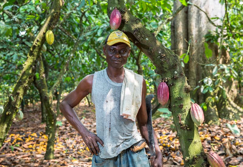Aduna Super-Cacao Producer
