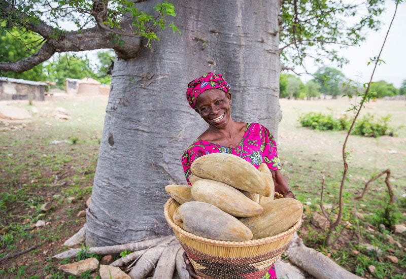 Aduna Baobab Producer, Upper East Ghana