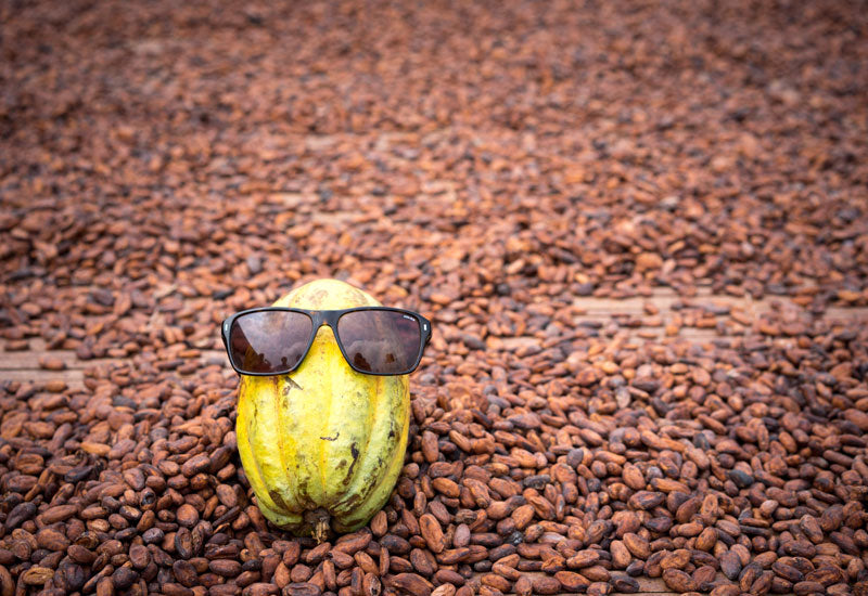 Aduna Cacao Beans