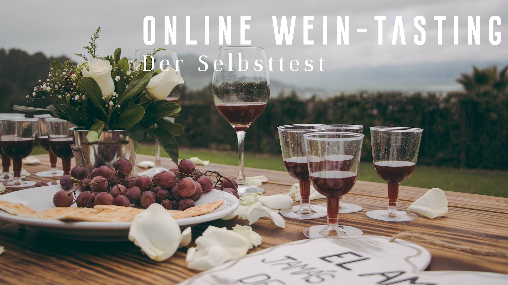 Online Wein-Tasting der Selbsttest