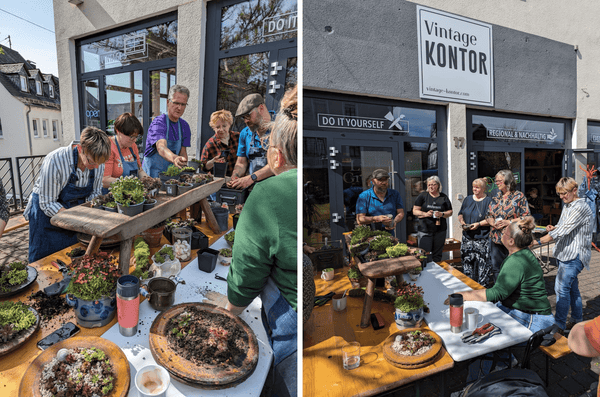 Workshop Bremsscheiben bepflanzen im Vintage Kontor