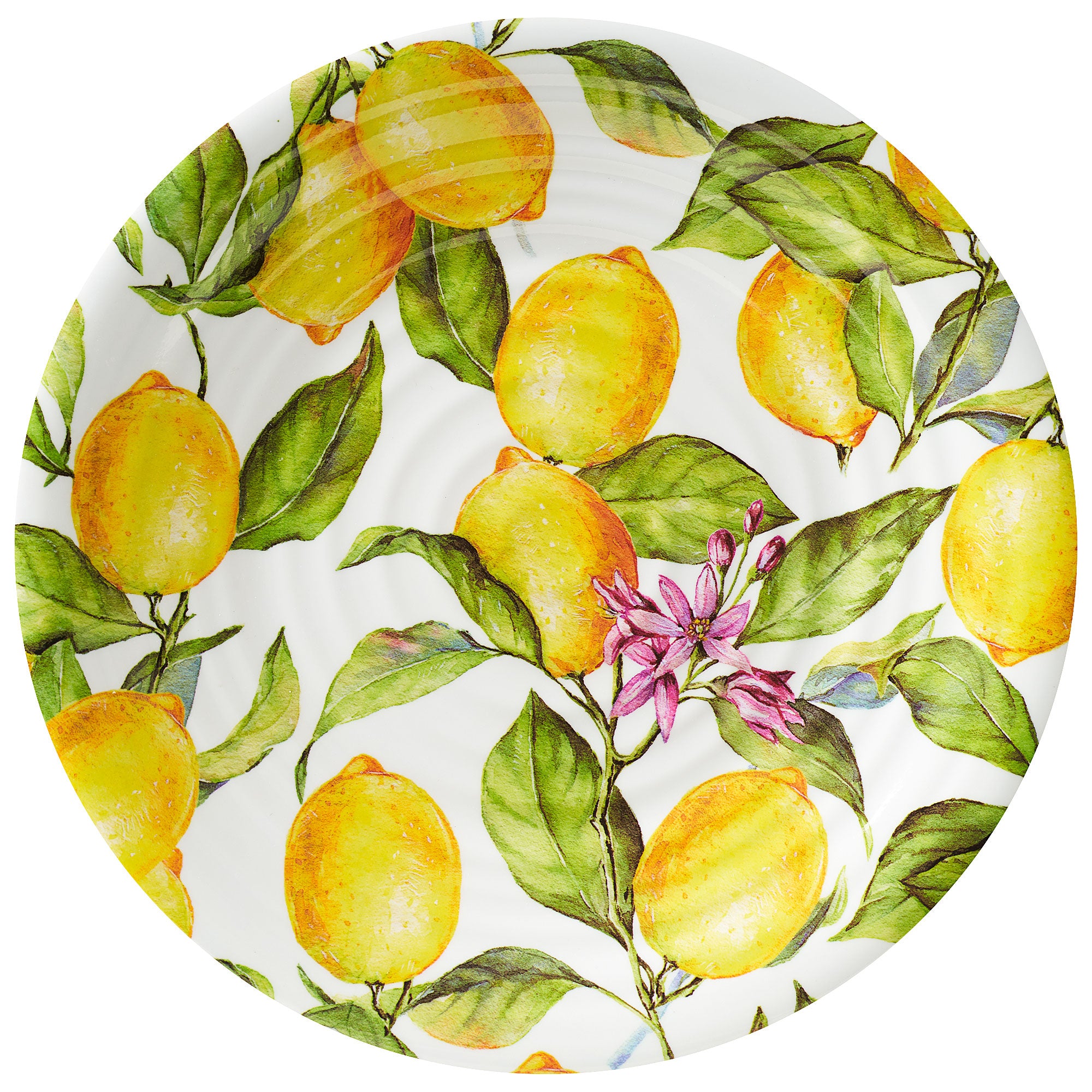 Lemons Plate | The Reject Shop