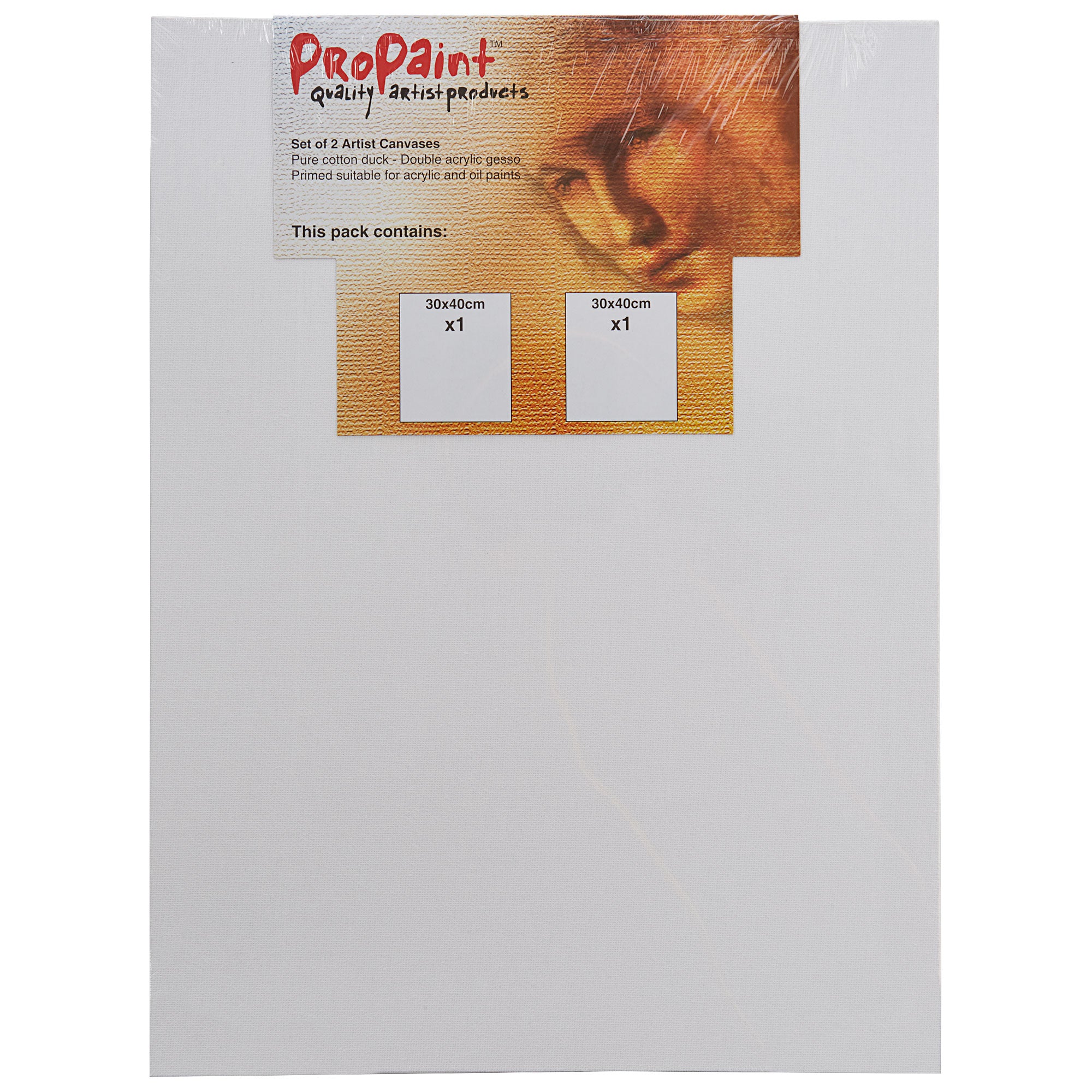 ProPaint Canvas Panels 30x40cm 2pk The Reject Shop