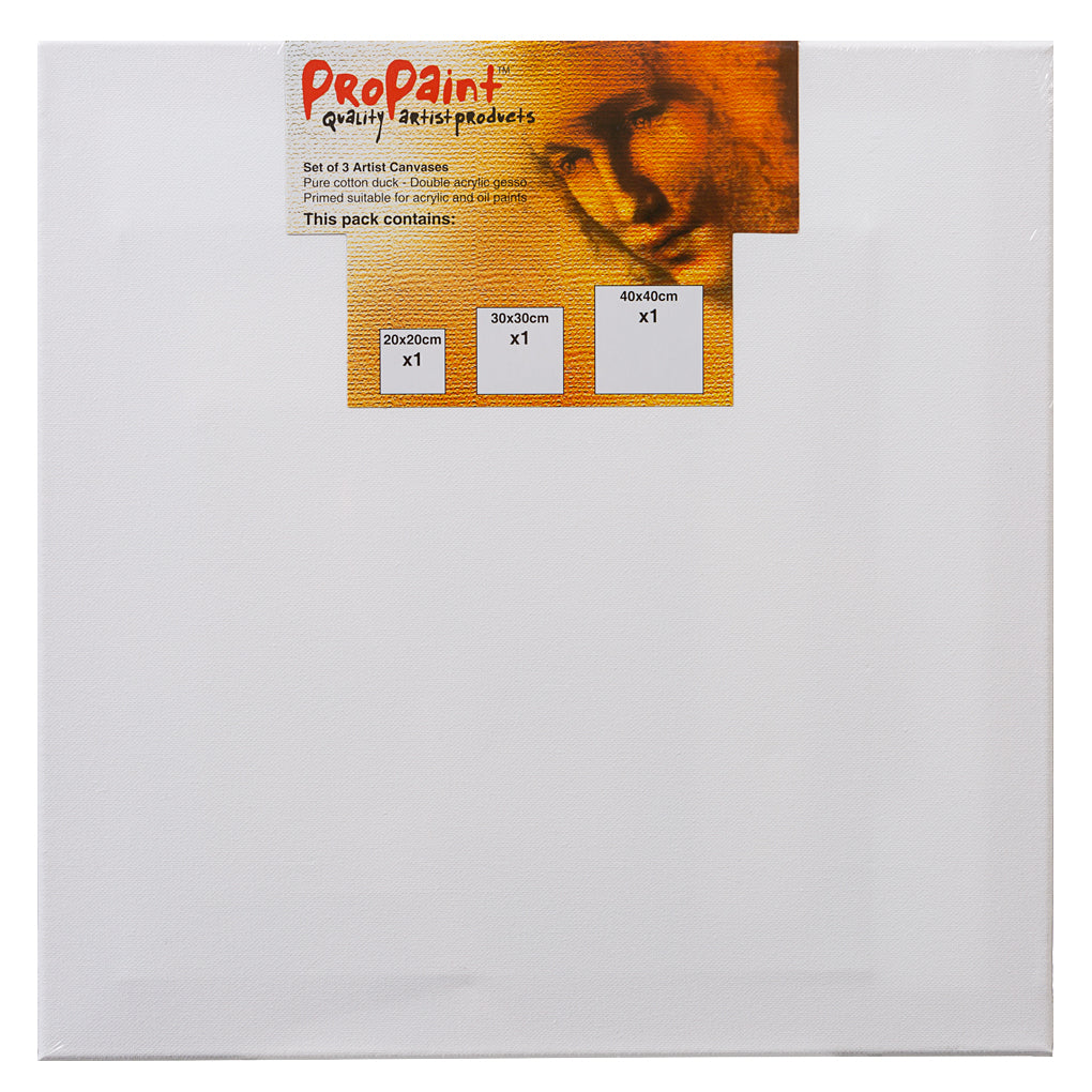 Propaint Canvases 3pk The Reject Shop